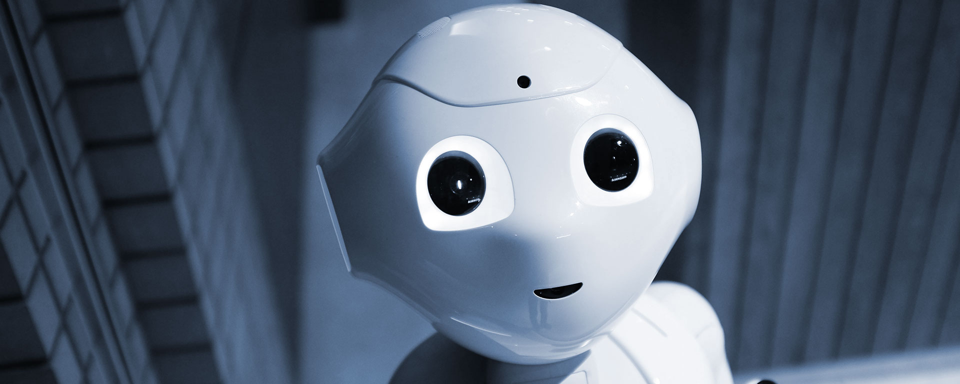 Robots
